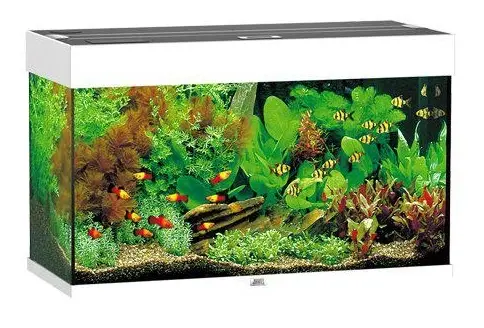 Juwel Akvarium Rio 125 Hvid